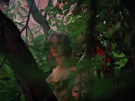 El chico accidentalmente vio a una chica desnuda en el bosque